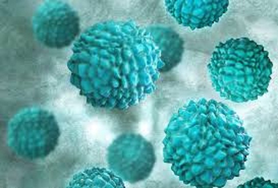 Norovirus Outbreaks Surge Across the U.S.: | Key Facts and Prevention Tips